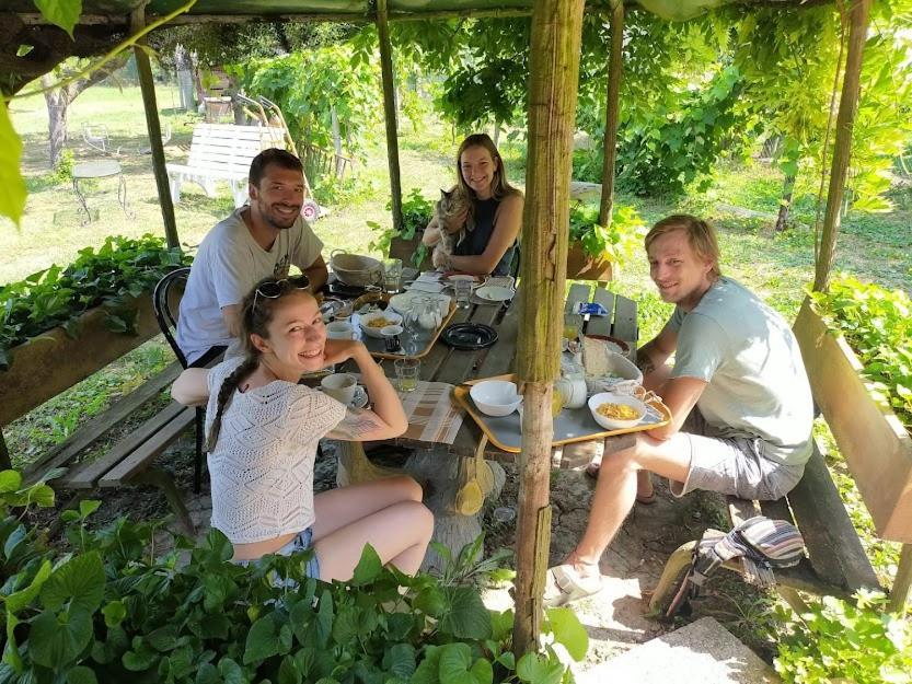 Campsite Ecogarden Camping With