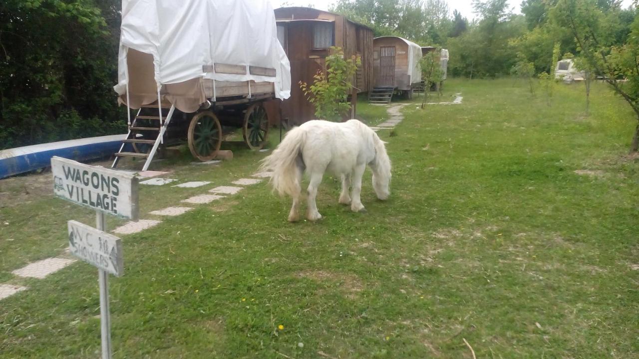 Campsite Ecogarden Camping With