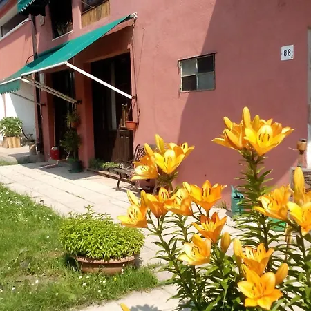 Ecogarden Camping With Rooms Chirignago-Zelarino Exterior photo