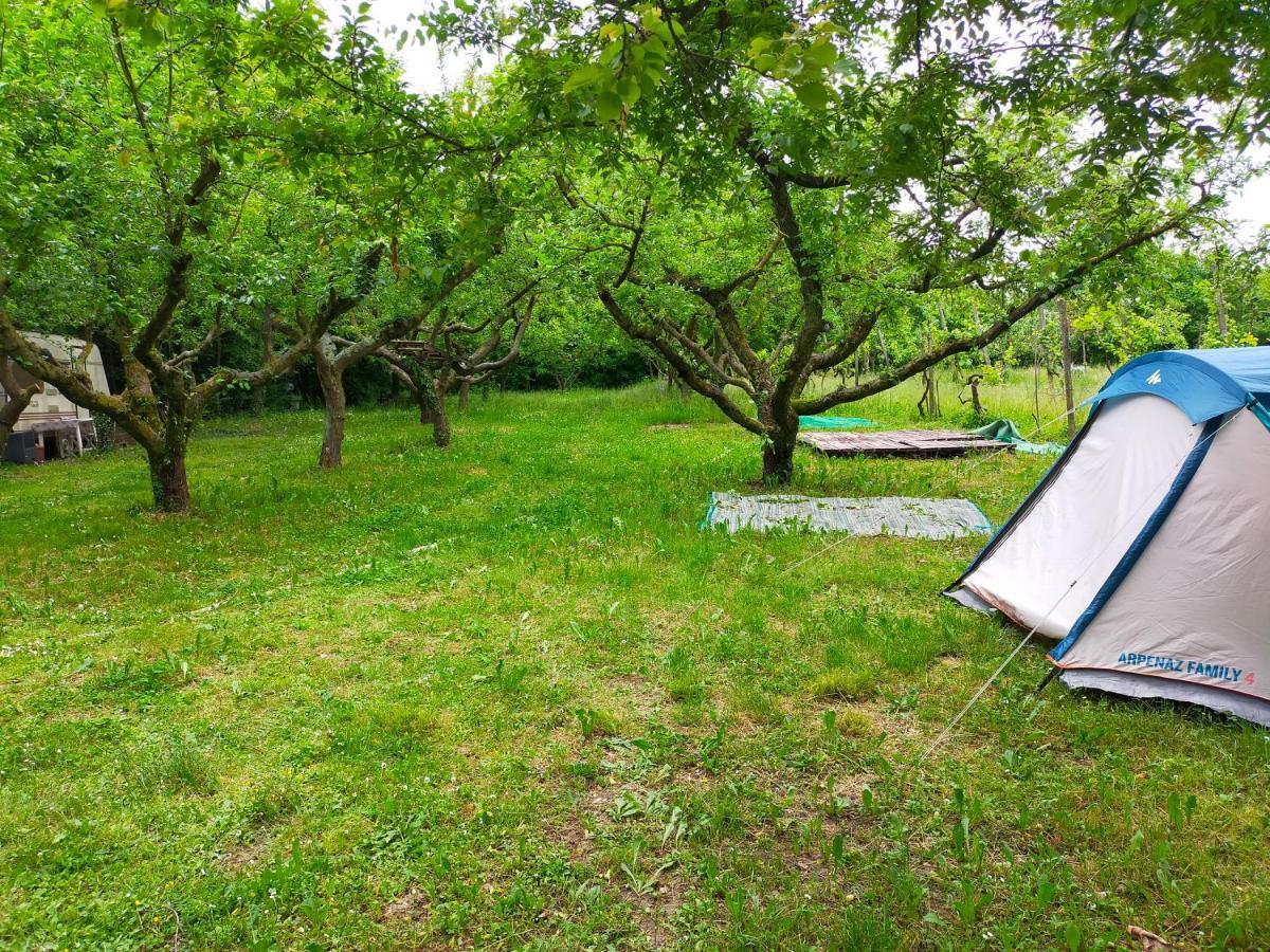 Ecogarden With Campsite