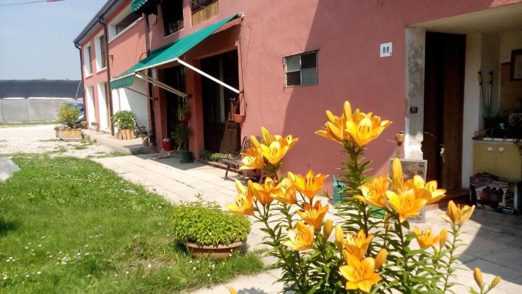 Ecogarden With Chirignago-Zelarino