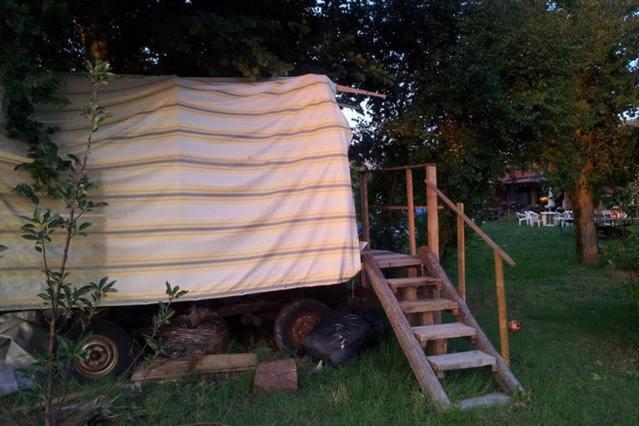 Ecogarden With