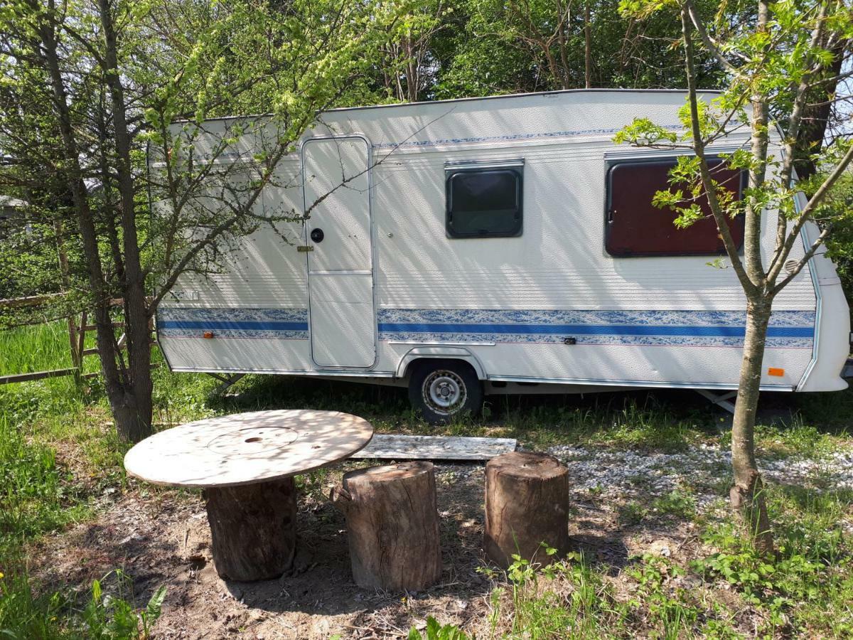 Campsite Ecogarden With